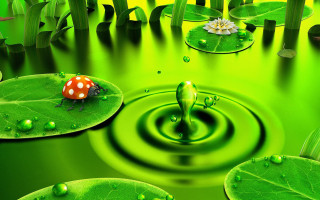 Green pond ladybug lily pads - art green free wallpaper for desktop