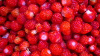 Strawberries white spots red background - a white spot free wallpaper