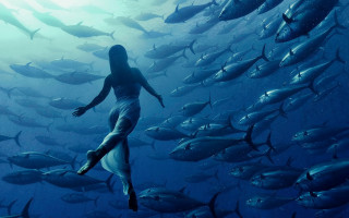 Woman fish diving ocean starry - a surrealist painting free wallpaper