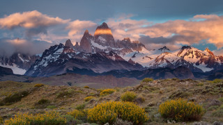 Mountain range clouds flowers bushes - a few flower free wallpaper