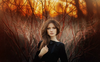 Woman field trees sky autumn - the background and a sky in the background free wallpaper