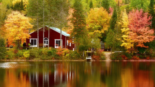Red cabin lake autumn foliage - fall foliage free wallpaper