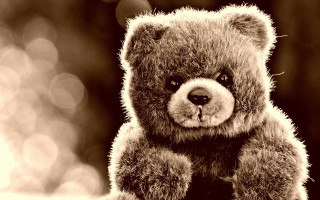 Teddy bear table blurry background - aloysius okelly free wallpaper