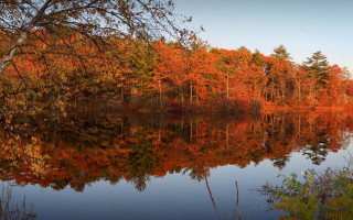 Lake autumn leaves mountains blue - orange leaf free wallpaper
