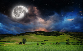 Full moon green field trees - tree and hills free wallpaper