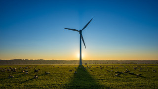 Wind turbine sheep sunset field - solarpunk free wallpaper