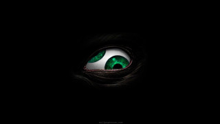 Cat eye green dark night - a white spot free wallpaper