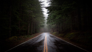 Forest road matte painting gloomy - gloomy atmosphere free wallpaper