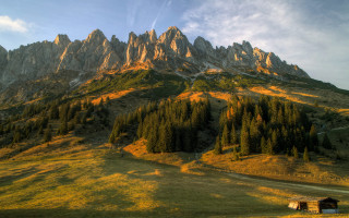 Mountain house grassy field trees - a house in the foreground free wallpaper