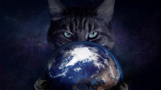 Cat earth blue starry night - a cat free wallpaper