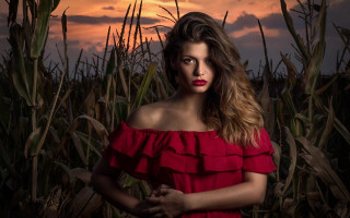 Woman red dress cornfield sunset - a red lip free wallpaper for desktop