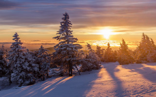 Sunset snowy mountain trees sky - tree and snow covered ground free wallpaper
