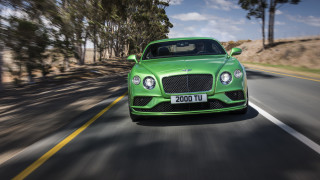Green bentley road trees forest - path free wallpaper