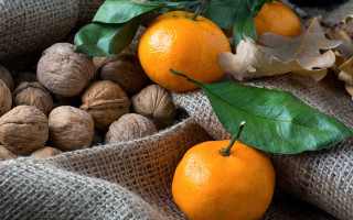 Nuts oranges burlock leaves stilllife - boetius adamsz bolswert free wallpaper for desktop
