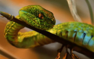 Green cobra branch blurry depth - donato giancola free wallpaper
