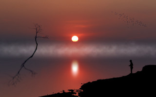 Hill overlooking water sunset birds - arthur pan free wallpaper for desktop