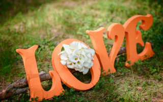 Wooden sign love flowers forest - a wooden sign free wallpaper