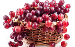 Basket grapes red green table 2 - the basket free wallpaper