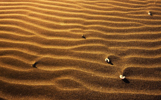 Sandy shells dunes landart desert - a few sand free wallpaper