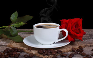 Coffee rose stilllife food morning - coffee bean free wallpaper