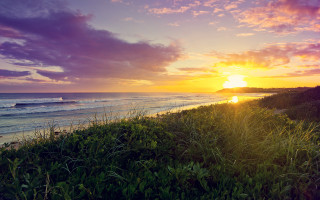 Sunset beach surfboard grassy horizon - a grassy area in the foreground free wallpaper