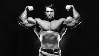 Muscular man arnold sculpture greyscale - arnie swekel free wallpaper