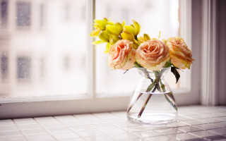 Vase flower bouquet window building - a vase free wallpaper