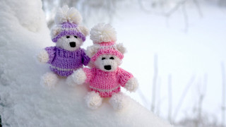 Teddy bears knitted clothes snow - sweater free wallpaper