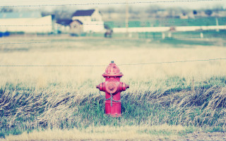 Fire hydrant grass fence house - andor basch free wallpaper for desktop