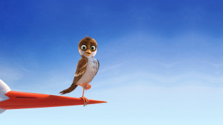 Bird red object blue sky - a sky background behind free wallpaper