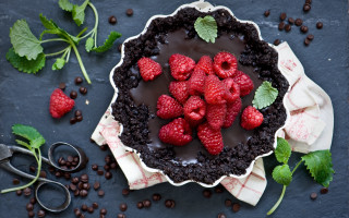 Chocolate raspberry rococo pie flower - raspberry free wallpaper