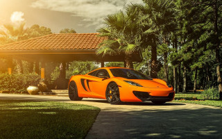 Bright orange sports car palm - andrew allan free wallpaper