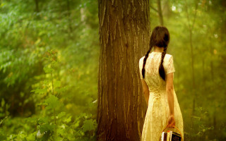 Woman forest suitcase enchanting magical - her hand and a suitcase free wallpaper