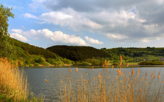 Lake trees grass cloudy sky - a hill in the distance free wallpaper