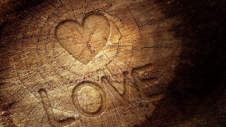Heart carved tree love star - the word love free wallpaper for desktop