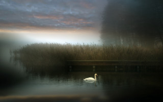 Swan lake tallgrass bench dusk - a dark sky free wallpaper