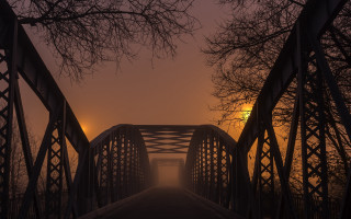 Bridge light fog night trees - ferenc joachim free wallpaper