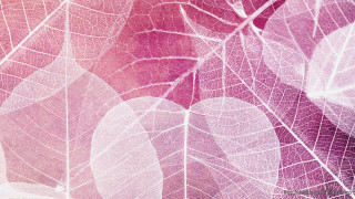 Leaf pattern wallpaper closeup pink - a wallpaper background free wallpaper for desktop
