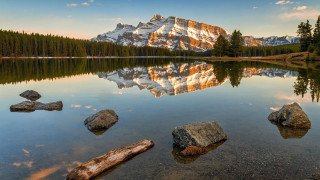 Mountain lake reflection logs trees - rock free wallpaper