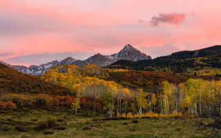 Mountain range pink sky trees - american barbizon school free wallpaper