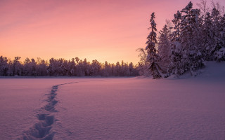 Snowy trail forest sunset pink - daniel lieske free wallpaper for desktop