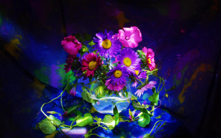 Vase purple yellow flowers tabletop - digital photography free wallpaper for desktop