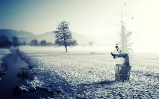 Person bench snow tree foggy - a bench in the snow free wallpaper