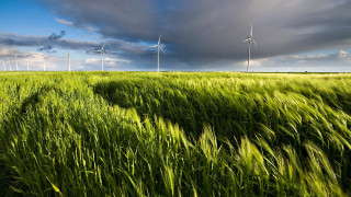 Green field wind turbines blue - green grass free wallpaper