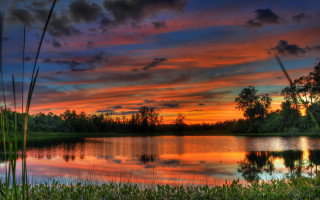 Sunset lake trees grass clouds 2 - cloud and trees free wallpaper for desktop