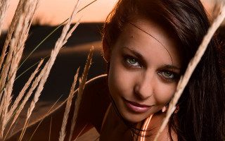 Woman blueeyes field sunset archer - olive skin free wallpaper
