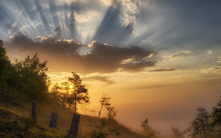 Sunset fence trees hill clouds - a sunset free wallpaper for desktop
