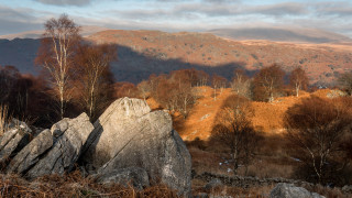 Mountain range forest sunset twilight - rich moody colour free wallpaper