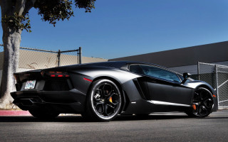 Black sports car fenced tree - a fenced in area free wallpaper