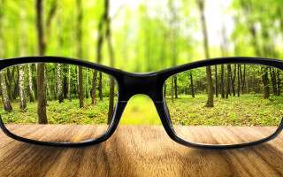 Glasses wooden table forest trees - a pair of glasses free wallpaper